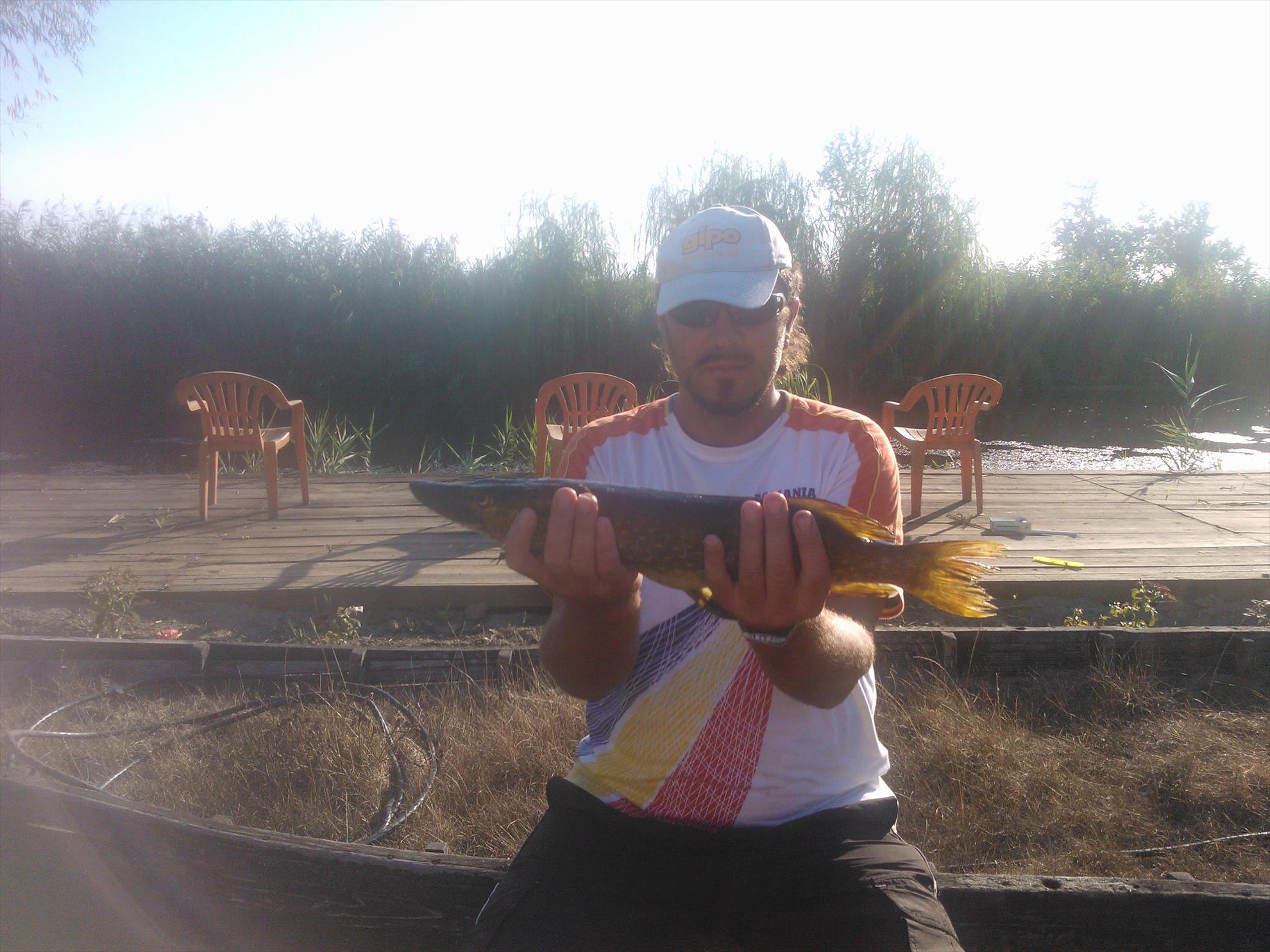 Delta Dunarii - Delta Paradis - wp000256.jpg